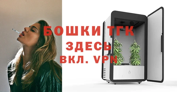 мдпв Дмитровск