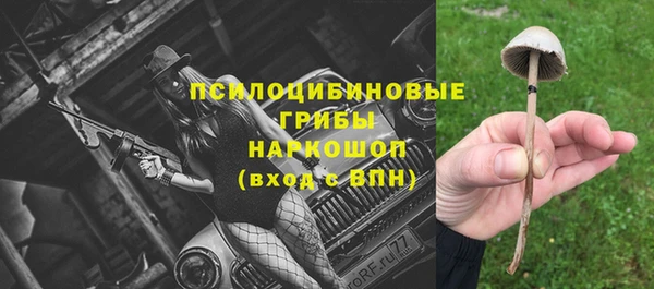 мдпв Дмитровск