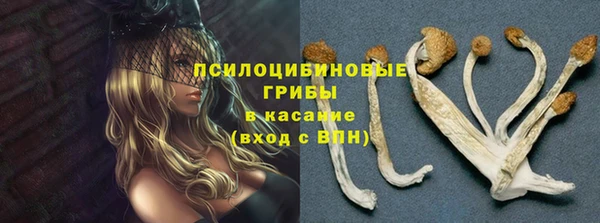 мдпв Дмитровск