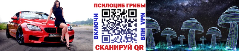 Псилоцибиновые грибы Psilocybe  Томск 