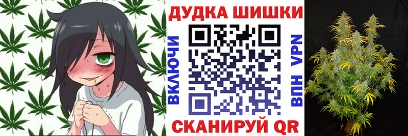 Шишки марихуана марихуана  Томск 